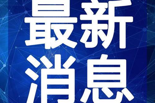 白鸽最新爆料辟谣视频,真相大白，还原事件原貌